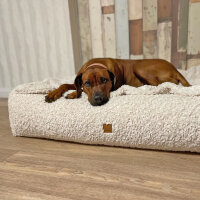 Hundebett Letto Curly White