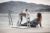 2-in-1 Deckentasche Rocky