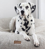 Hundebett Wolke® Dots